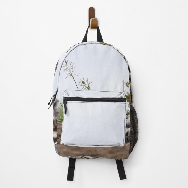 Item preview, Too Cute Albert Heijn For Mondays. designed and sold by Markjueazley.