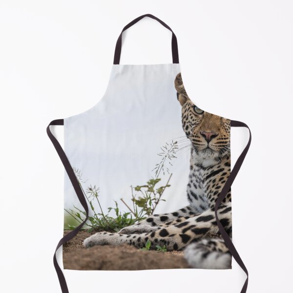 Item preview, Too Cute Albert Heijn For Mondays. designed and sold by Markjueazley.