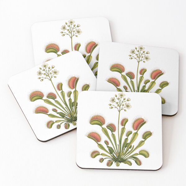 Item preview, Venus Flytrap – Vintage Botanical Illustration designed and sold by Vexa Tees.
