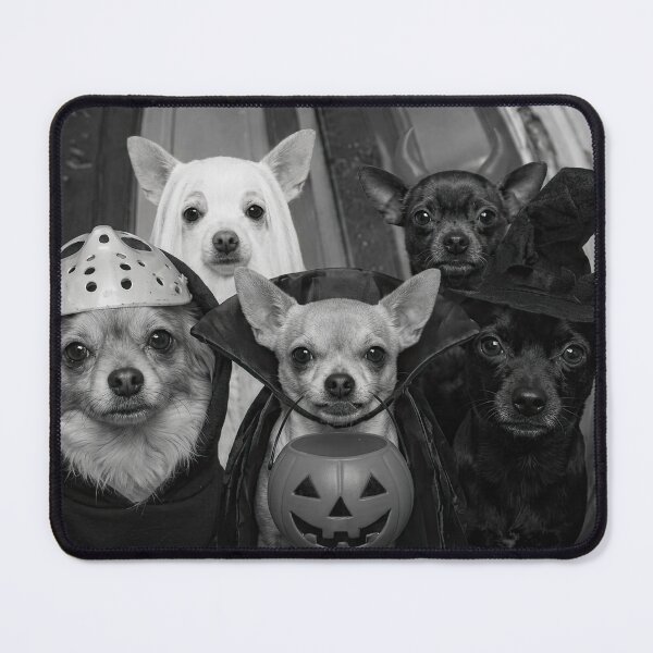 Item preview, Dog Breeds Open The Door We Just Want Candy Halloween  designed and sold by Holyiury.