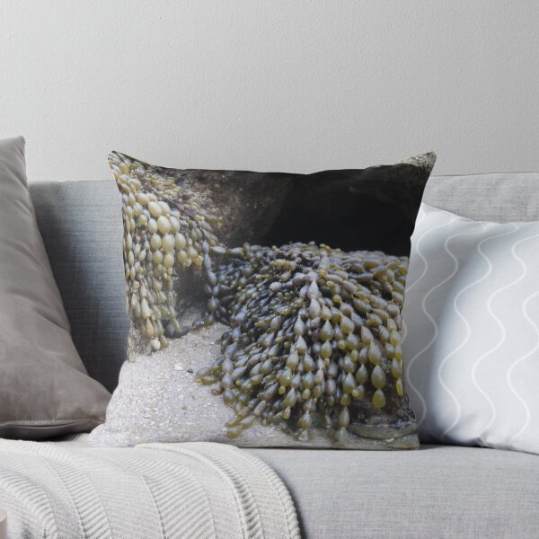 Item preview, Fucus, a major source of food. designed and sold by Larry Davis.