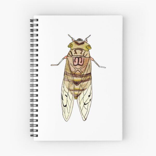 Item preview, Mexican cicada designed and sold by mayasciclonica.