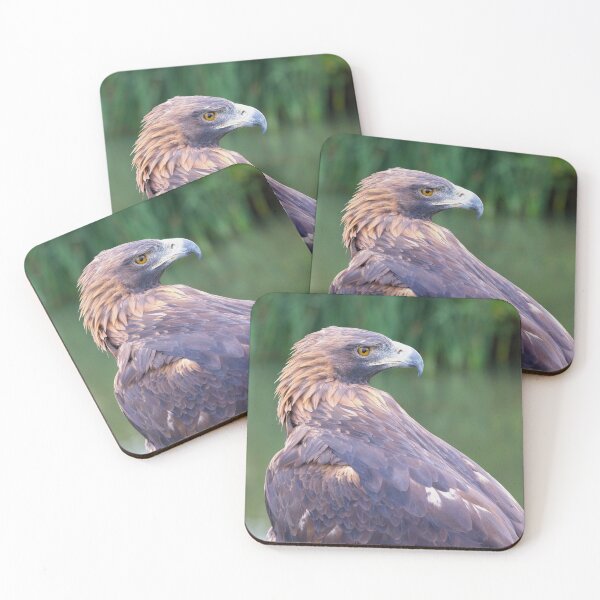 Item preview, Golden eagle portrait close designed and sold by alan tunnicliffe.