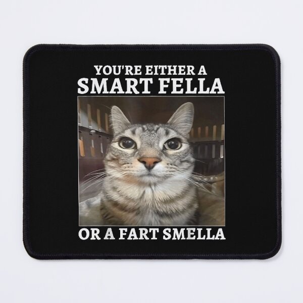 Item preview, You're Either a Smart Fella or a Fart Smella Funny Cat Meme designed and sold by NguboNorento.
