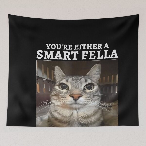 Item preview, You're Either a Smart Fella or a Fart Smella Funny Cat Meme designed and sold by NguboNorento.