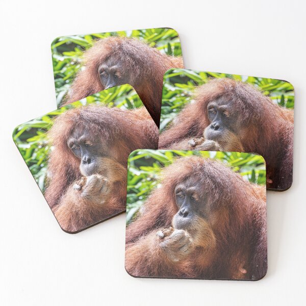 Item preview, Orang Utan 01 designed and sold by photograham.