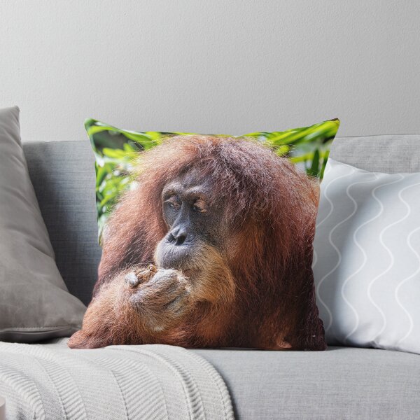 Artikelvorschau, Orang-Utan 01 entworfen und verkauft von photograham.