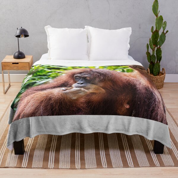 Artikelvorschau, Orang-Utan 01 entworfen und verkauft von photograham.