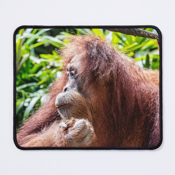 Item preview, Orang Utan 02 designed and sold by photograham.