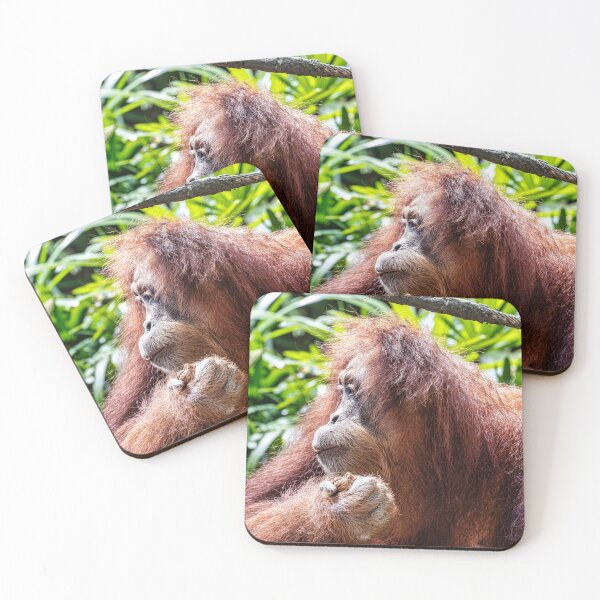 Item preview, Orang Utan 02 designed and sold by photograham.