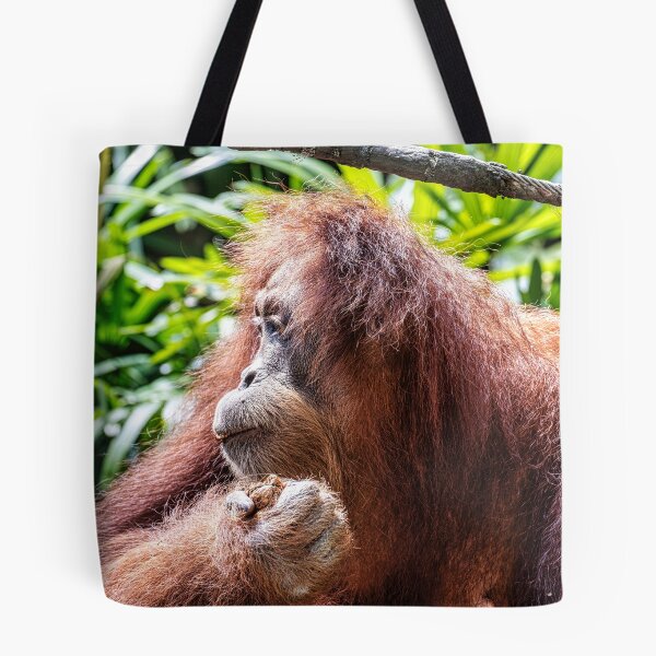 Item preview, Orang Utan 02 designed and sold by photograham.