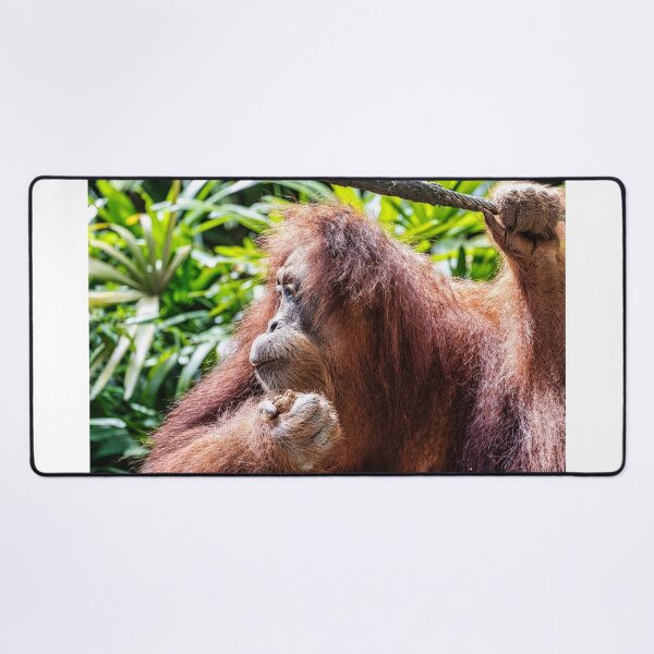 Artikelvorschau, Orang-Utan 02 entworfen und verkauft von photograham.
