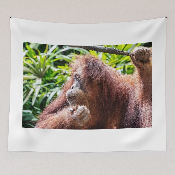 Item preview, Orang Utan 02 designed and sold by photograham.