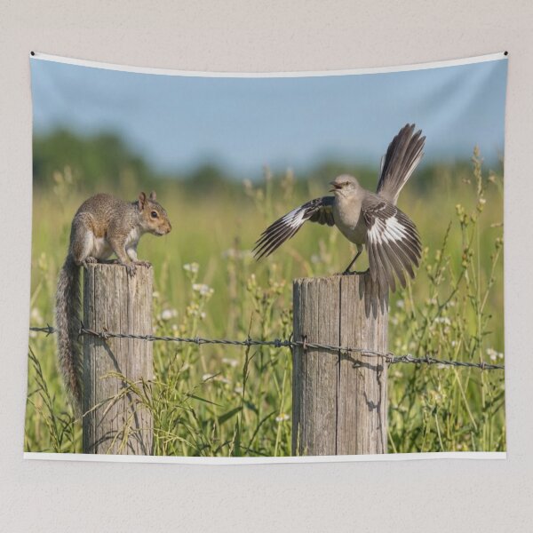 Item preview, The lecture designed and sold by GAWPAWshop.