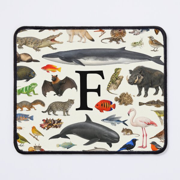 Item preview, Letter F Animal Alphabet Retro Identification Chart designed and sold by kakarikihill.