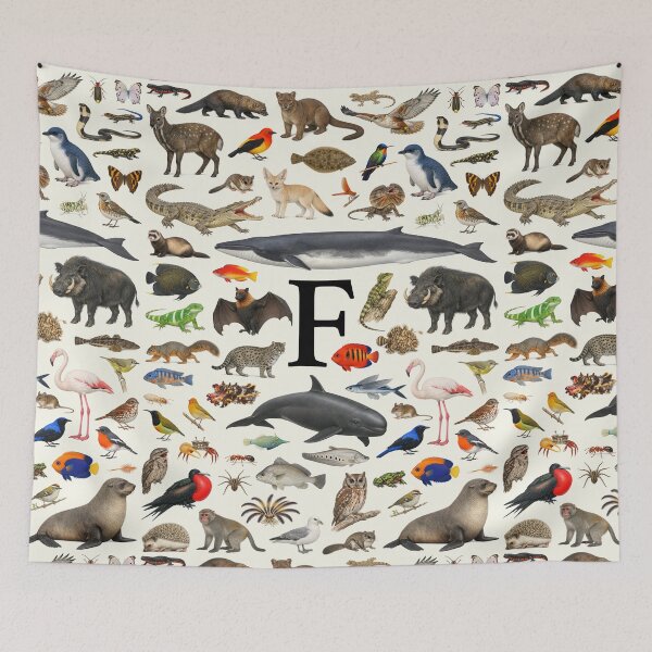 Item preview, Letter F Animal Alphabet Retro Identification Chart designed and sold by kakarikihill.