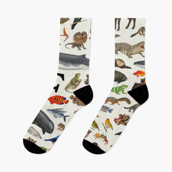Item preview, Letter F Animal Alphabet Retro Identification Chart designed and sold by kakarikihill.