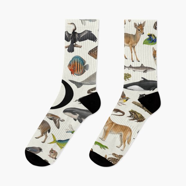 Item preview, Letter D Animal Alphabet Retro Identification Chart designed and sold by kakarikihill.