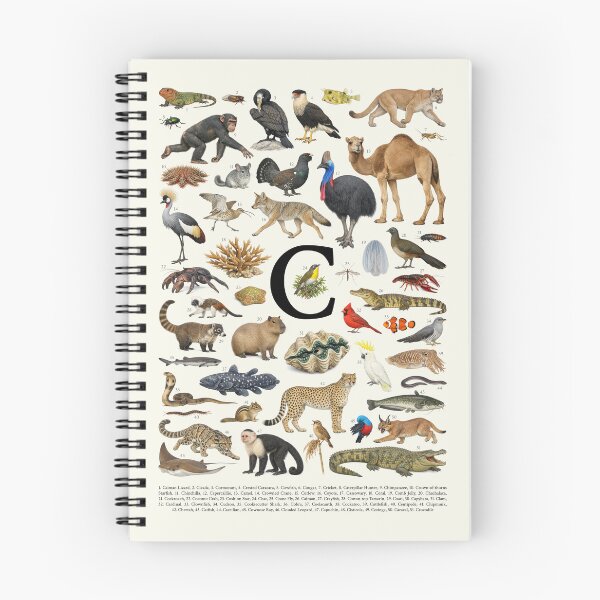 Item preview, Letter C Animal Alphabet Retro Identification Chart designed and sold by kakarikihill.