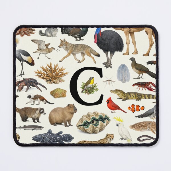 Item preview, Letter C Animal Alphabet Retro Identification Chart designed and sold by kakarikihill.