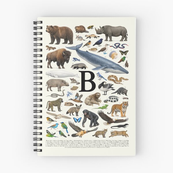 Item preview, Letter B Animal Alphabet Retro Identification Chart designed and sold by kakarikihill.