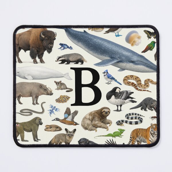 Item preview, Letter B Animal Alphabet Retro Identification Chart designed and sold by kakarikihill.