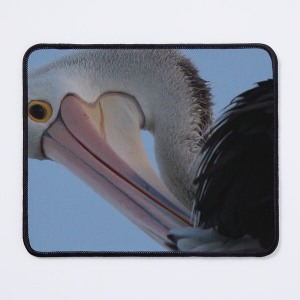 Item preview, Australian Pelican Up Close designed and sold by Images-on-Eyre.