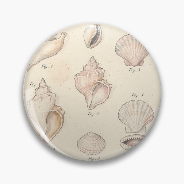 Item preview, Vintage Seashell Conchology Plate designed and sold by PictorialWhimsy.