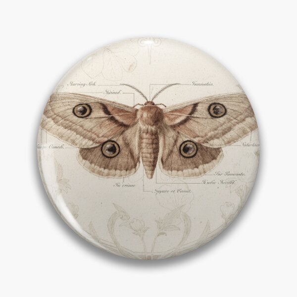 Item preview, Vintage Emperor Moth Specimen Plate designed and sold by PictorialWhimsy.