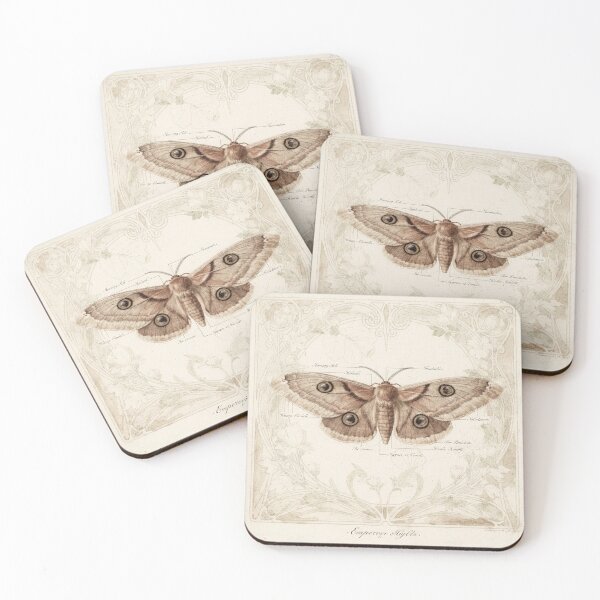 Item preview, Vintage Emperor Moth Specimen Plate designed and sold by PictorialWhimsy.