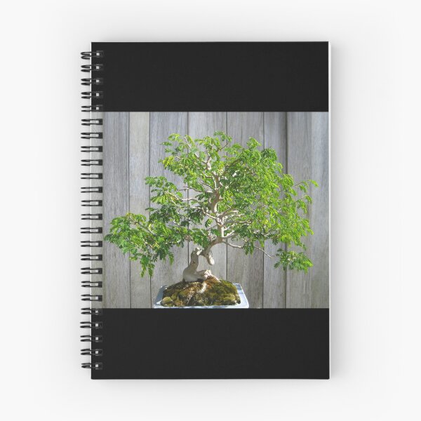 Item preview, Bonsai Brazilian Rain Tree with Gray Fence designed and sold by JoyousArt4u.