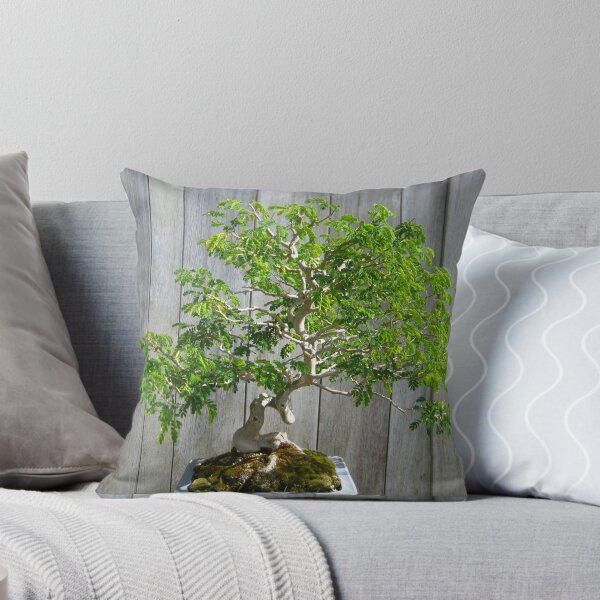 Item preview, Bonsai Brazilian Rain Tree with Gray Fence designed and sold by JoyousArt4u.