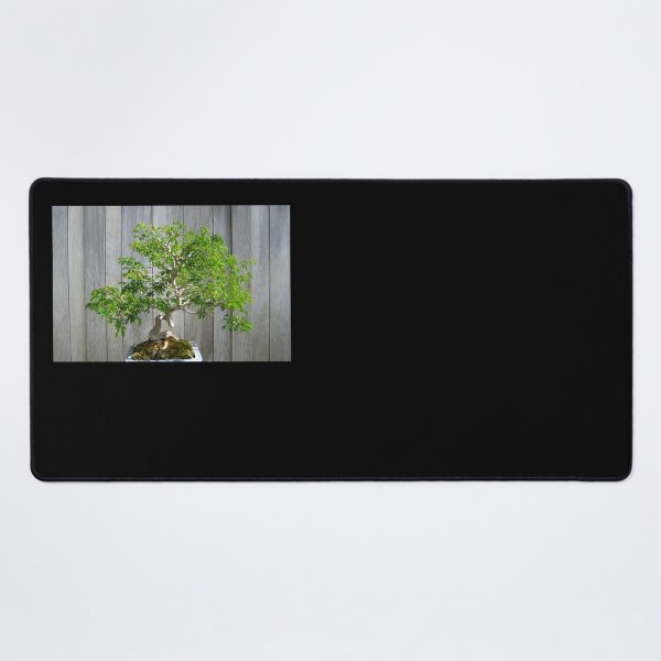 Item preview, Bonsai Brazilian Rain Tree with Gray Fence designed and sold by JoyousArt4u.