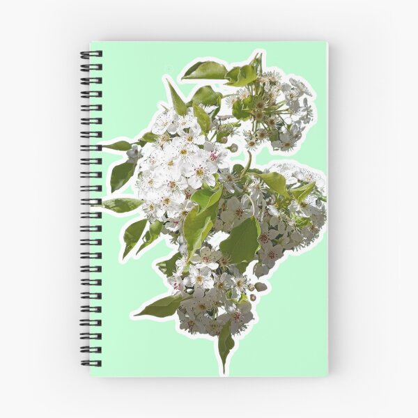 Item preview, Almond Blossom designed and sold by GeoGoose.