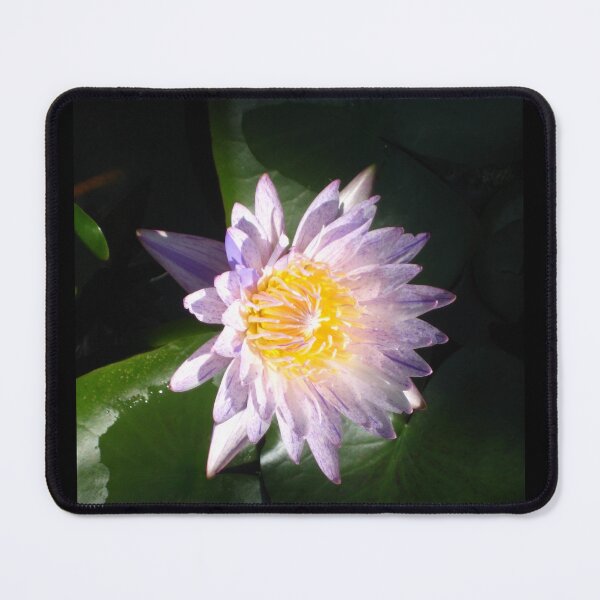 Item preview, Shimmering Purple Lotus from the Huntington designed and sold by JoyousArt4u.