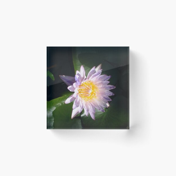 Item preview, Shimmering Purple Lotus from the Huntington  designed and sold by JoyousArt4u.