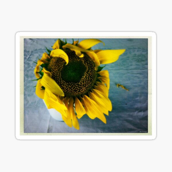 inspiration in simple things Sticker