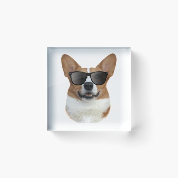 Item preview, Cool Corgi With Sunglasses designed and sold by uyndonG-rey.