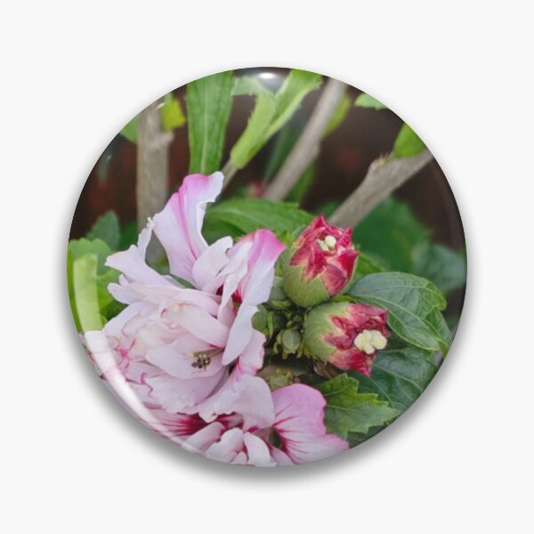 Item preview, Pink Chiffon Hibiscus Flower designed and sold by jalfc46.