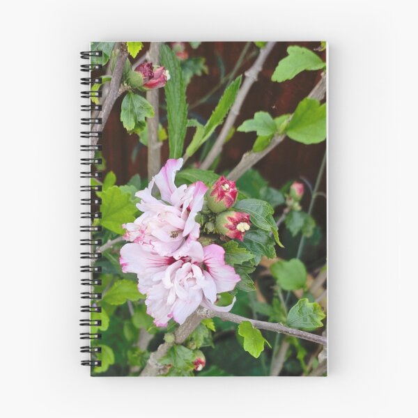 Item preview, Pink Chiffon Hibiscus Flower designed and sold by jalfc46.