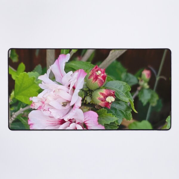 Item preview, Pink Chiffon Hibiscus Flower designed and sold by jalfc46.