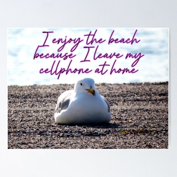 Item preview, Seagull Has a Cellphone, Westport, Ct designed and sold by GiftsbyNaomi.