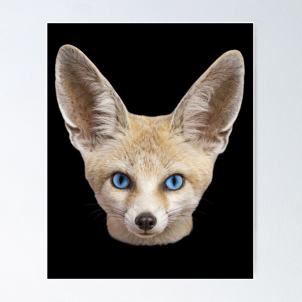 Item preview, Fennec Fox Face Blue Eyes Cute Desert Animal Art designed and sold by cabana.space.