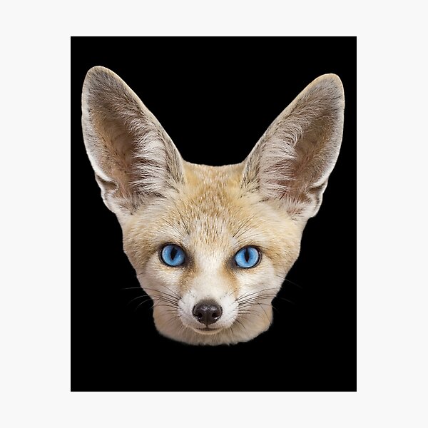 Item preview, Fennec Fox Face Blue Eyes Cute Desert Animal Art designed and sold by cabana.space.