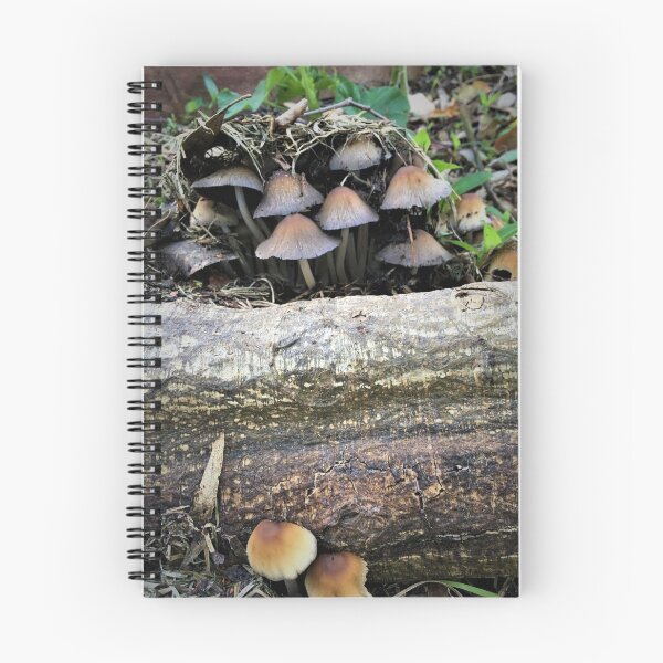 Item preview, Mushroom Town designed and sold by BritaLeetheGallery.