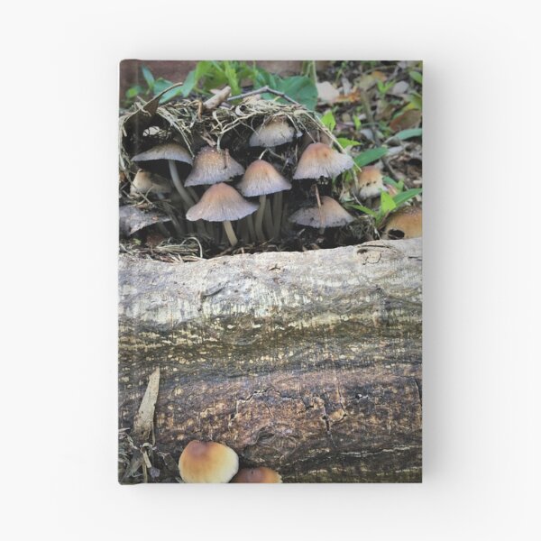 Item preview, Mushroom Town designed and sold by BritaLeetheGallery.