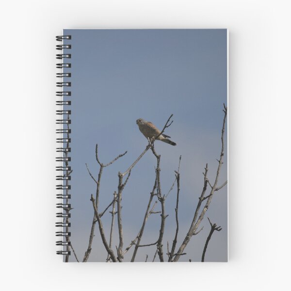 Item preview, Frozen reality - Beautiful nature 1101 designed and sold by deep-sea-birds.