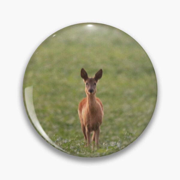 Item preview, A deer looks into the camera. designed and sold by Jonas Petracic.