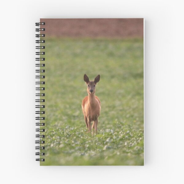 Item preview, A deer looks into the camera. designed and sold by Jonas Petracic.
