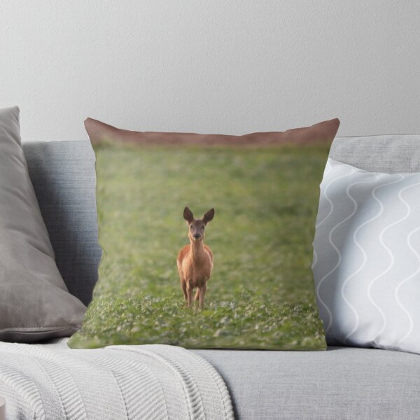 Item preview, A deer looks into the camera. designed and sold by Jonas Petracic.